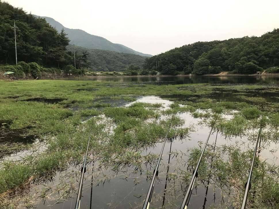 오랜만에 2박 다녀왔습니다 (조황조행기 - 모바일간편조행)