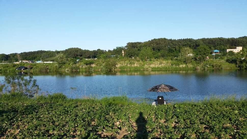 강릉 수로에서 (조황조행기 - 모바일간편조행)