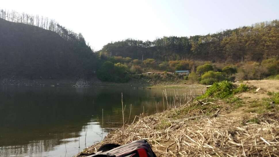 임하호 상류 어천리 (조황조행기 - 모바일간편조행)