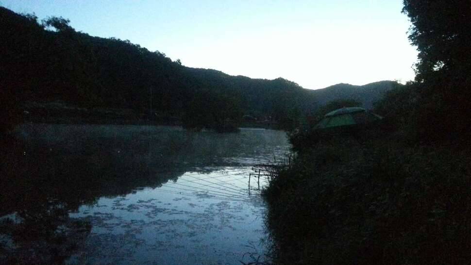 원남지 들어왔습니다 (조황조행기 - 모바일간편조행)