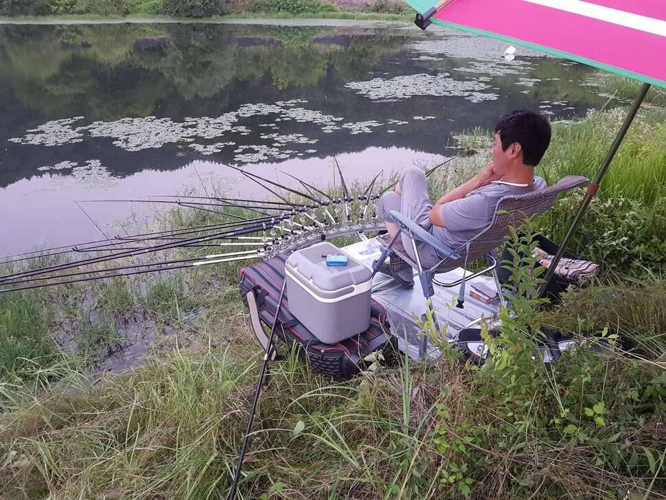 한여름 소류지 (조황조행기 - 모바일간편조행)