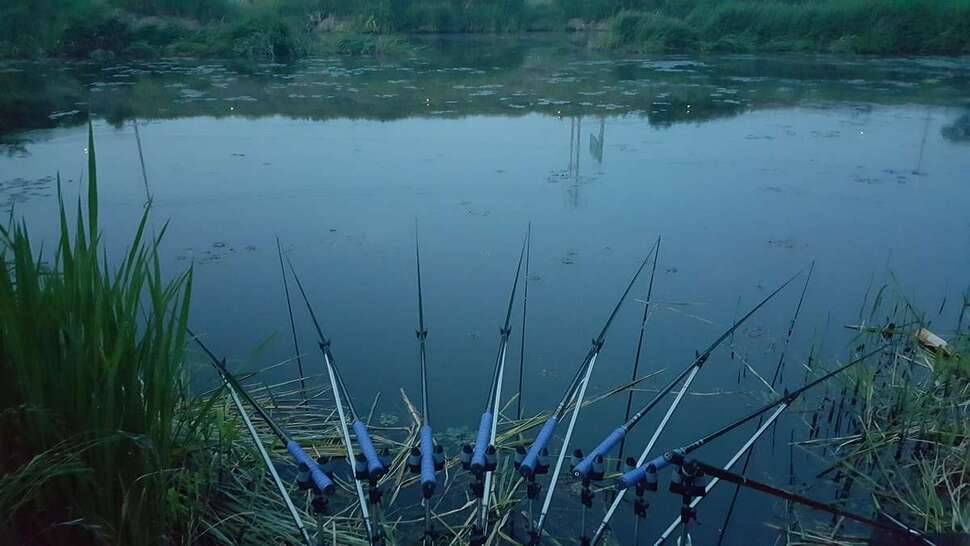 라복리수로밤낚시 (조황조행기 - 모바일간편조행)