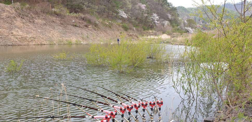 충북권 계곡지 (조황조행기 - 모바일간편조행)