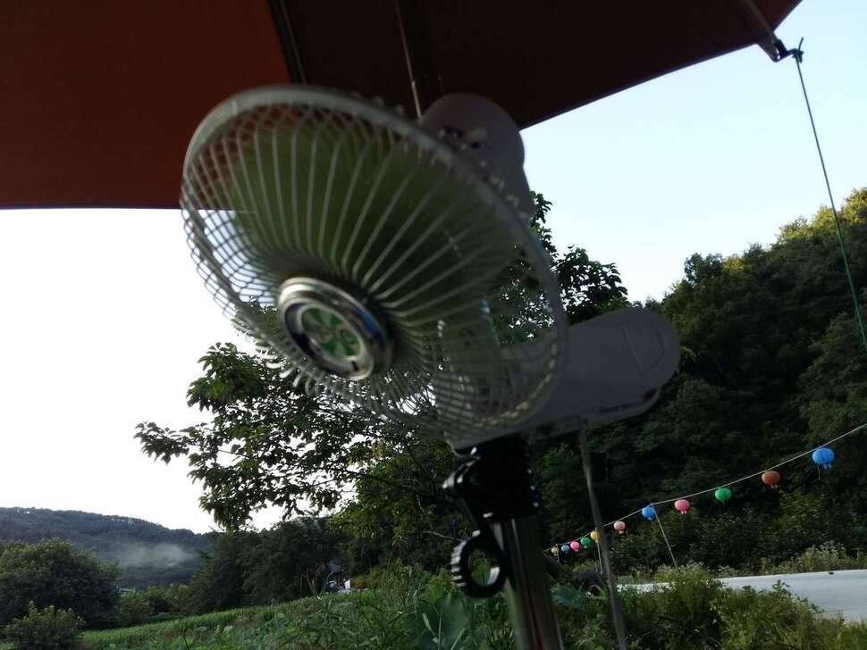 연밭 (조황조행기 - 모바일간편조행)