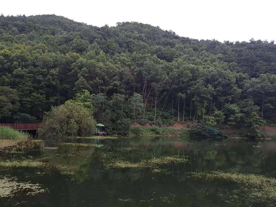 음성 용산저수지 고기 터집니다 (조황조행기 - 모바일간편조행)