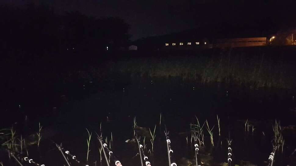 퇴근후 연 부들밭에서 (조황조행기 - 모바일간편조행)