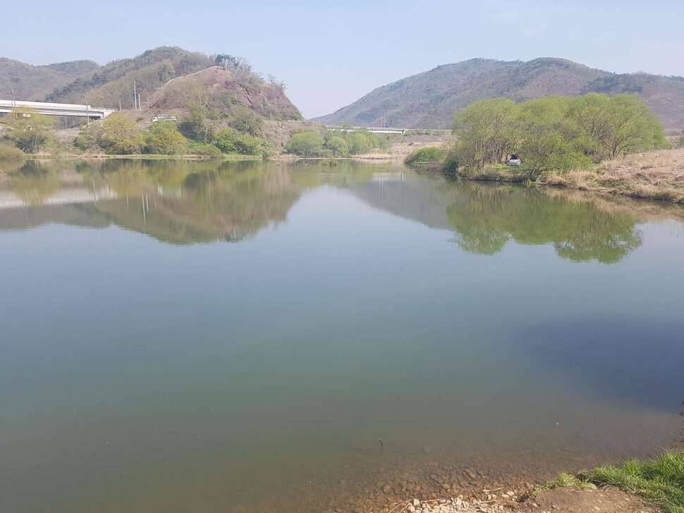 금강 줄기 (조황조행기 - 모바일간편조행)