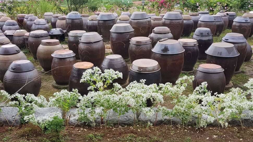 서산권 마감 (조황조행기 - 모바일간편조행)