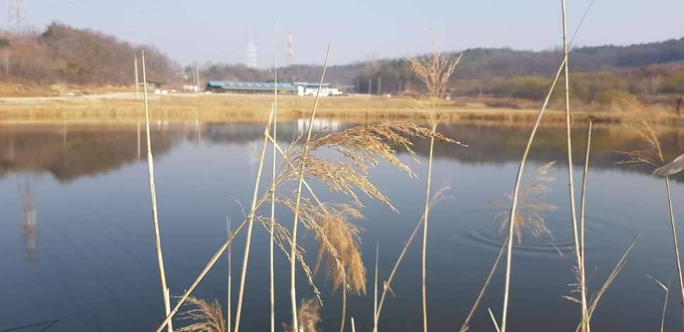 잠시힐링 (조황조행기 - 모바일간편조행)