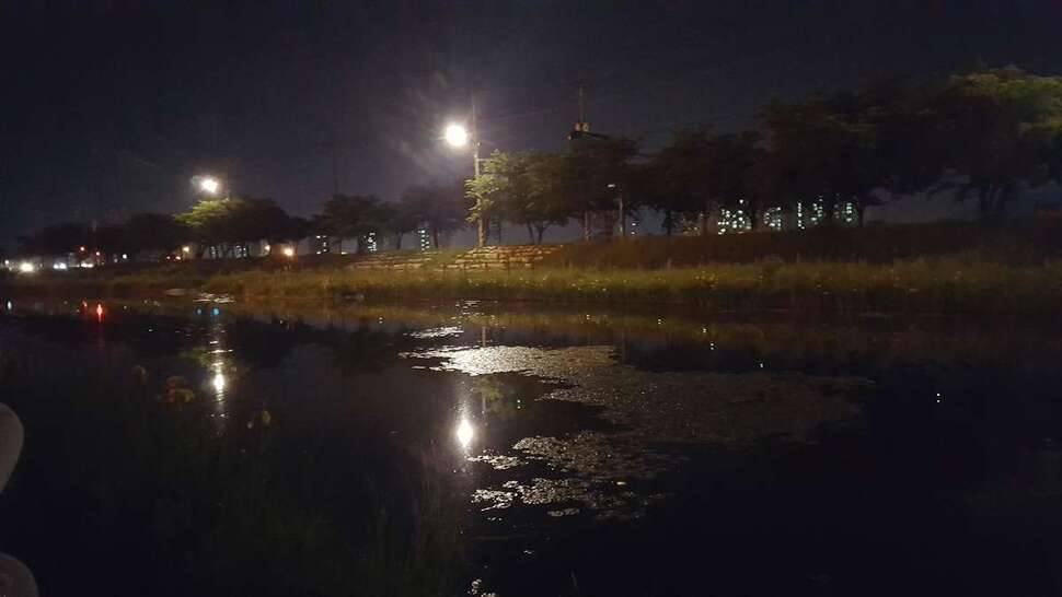 어제저녁 퇴근후짬낚시 (조황조행기 - 모바일간편조행)