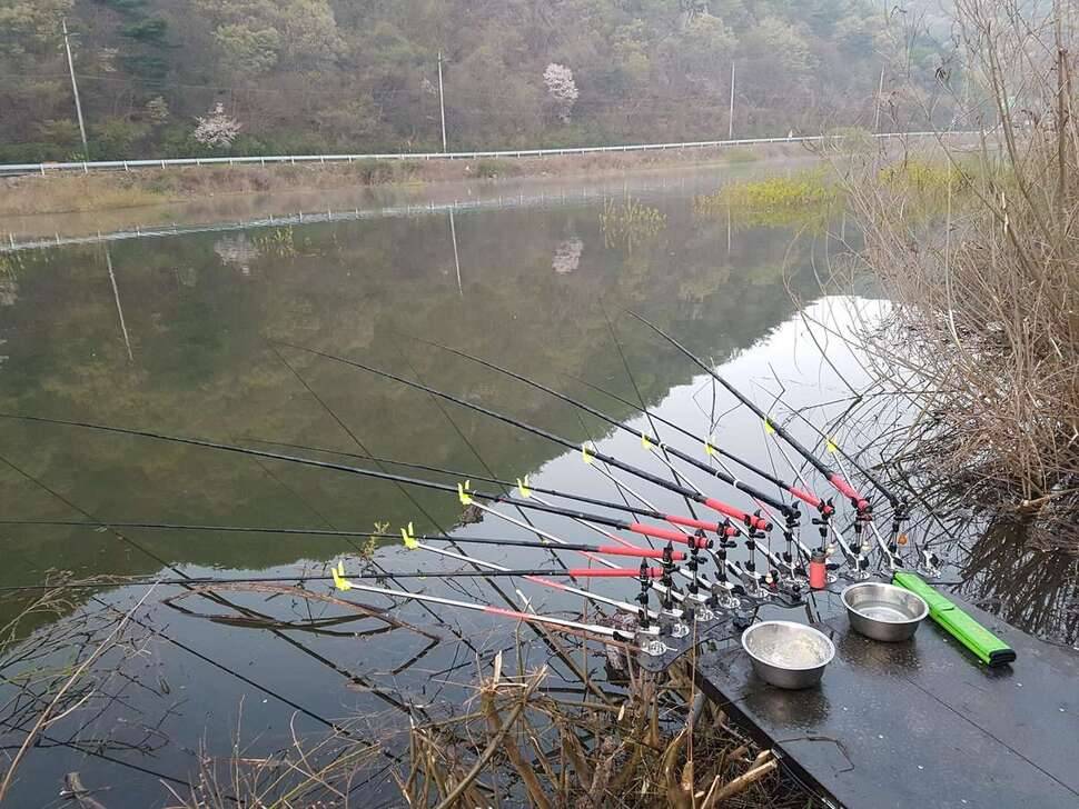고풍지 (조황조행기 - 모바일간편조행)