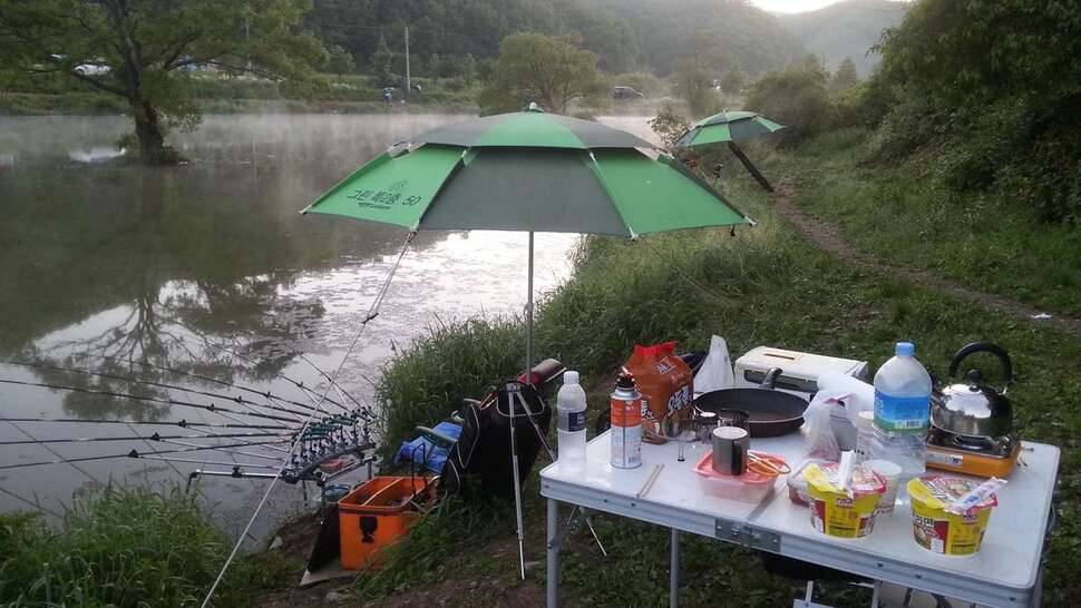 원남지 들어왔습니다 (조황조행기 - 모바일간편조행)
