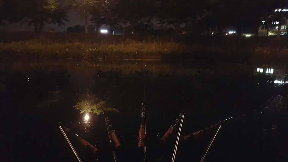 어제저녁 퇴근후짬낚시 (조황조행기 - 모바일간편조행)