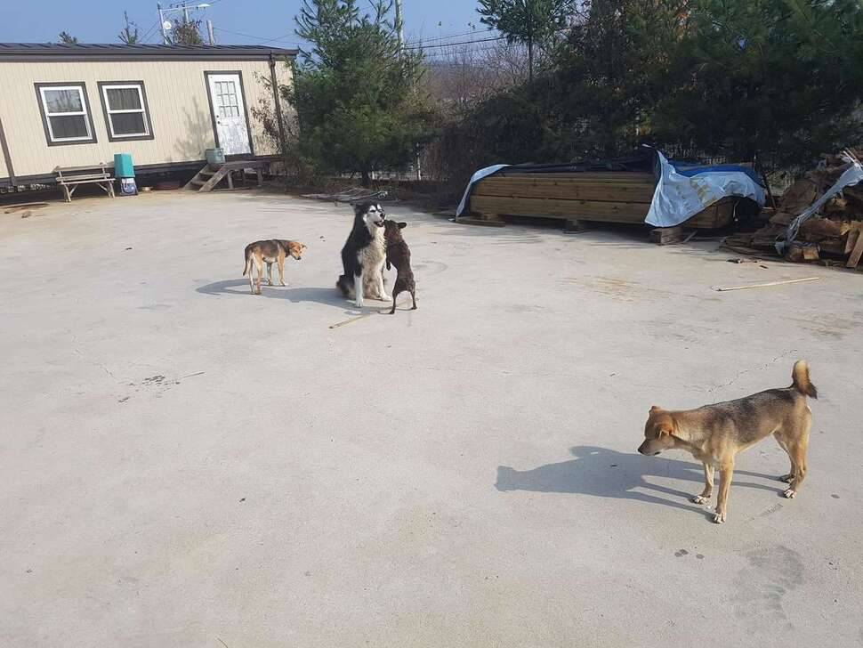 동내한바퀴 (조황조행기 - 모바일간편조행)