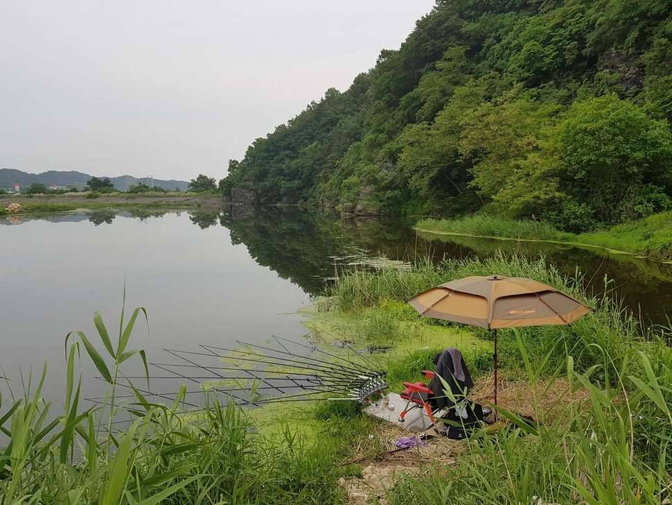 힐링하러 (조황조행기 - 모바일간편조행)