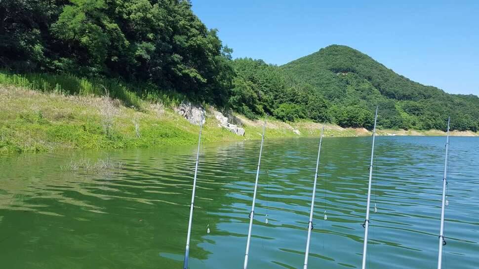 장어좀 잡고싶어서왔습니다 (조황조행기 - 모바일간편조행)