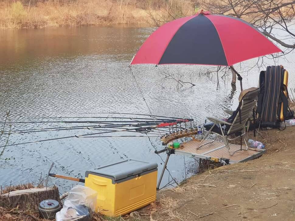와촌 신한지 (조황조행기 - 모바일간편조행)