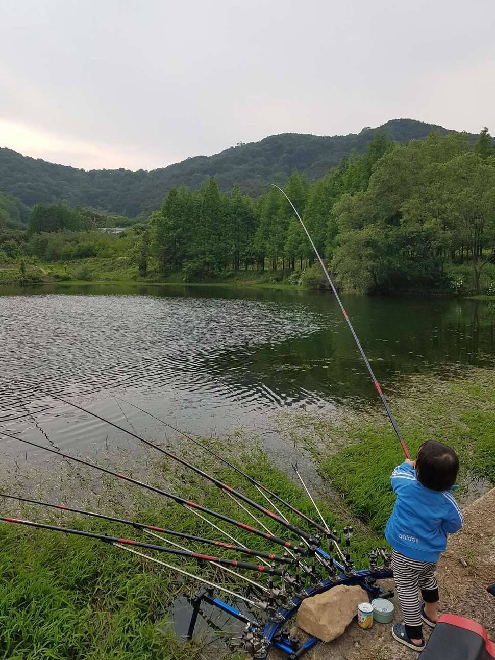 가위가 ㅠㅠ (조황조행기 - 모바일간편조행)