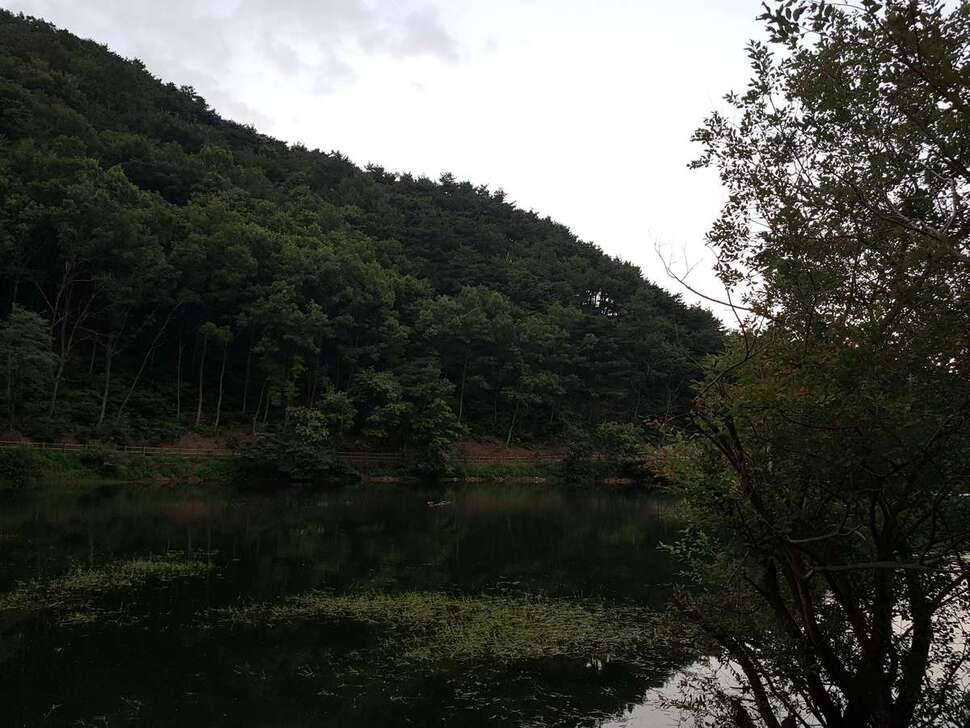 음성 용산저수지 고기 터집니다 (조황조행기 - 모바일간편조행)