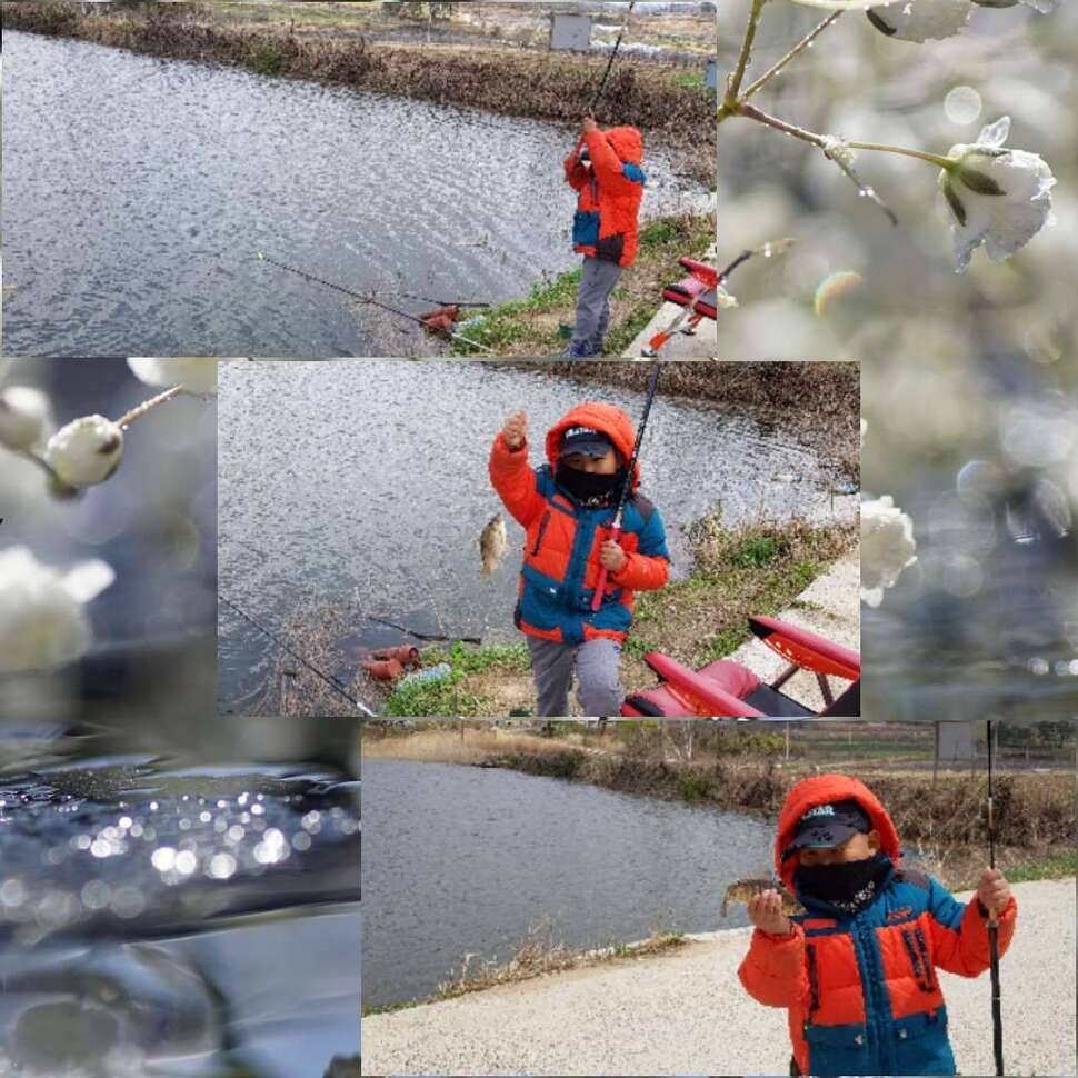 리틀淸水와함께 (조황조행기 - 모바일간편조행)
