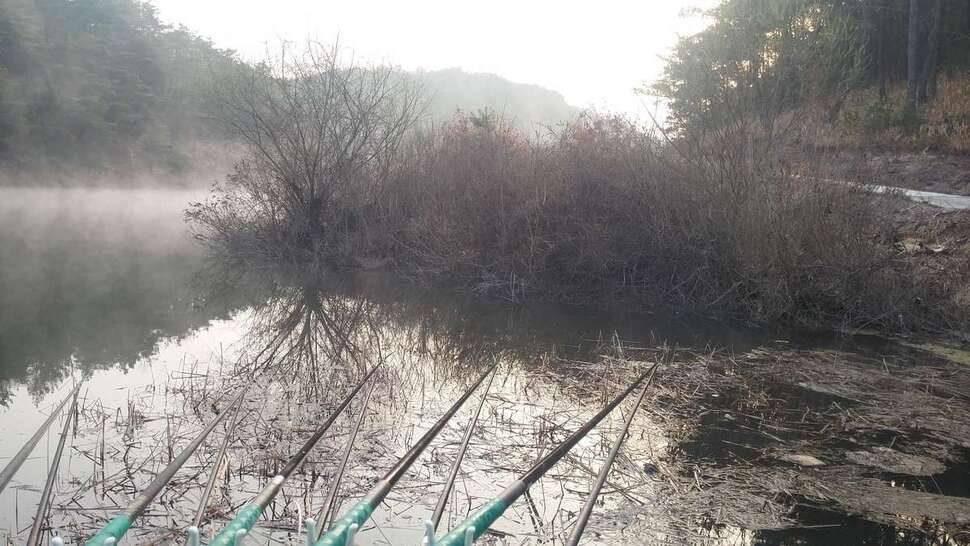 의성 깨◇지 (조황조행기 - 모바일간편조행)