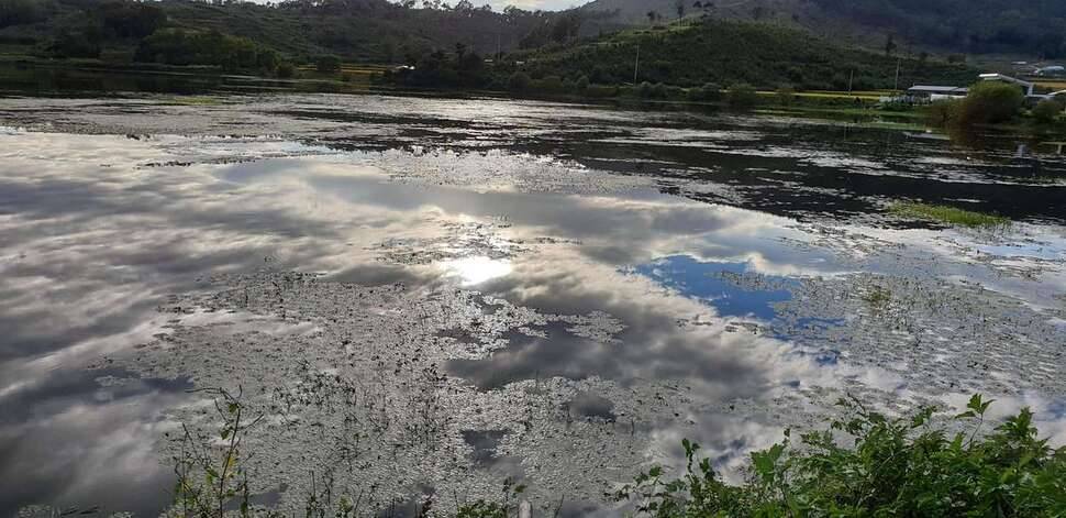 익산권 한방터 (조황조행기 - 모바일간편조행)