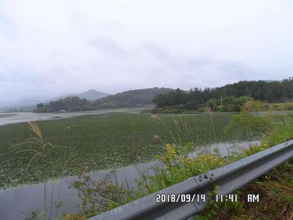 rt_johwang_97823_030916_54156.jpg