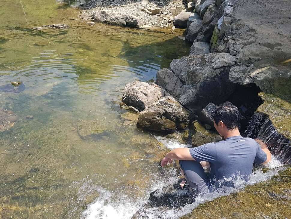 한여름 소류지 (조황조행기 - 모바일간편조행)