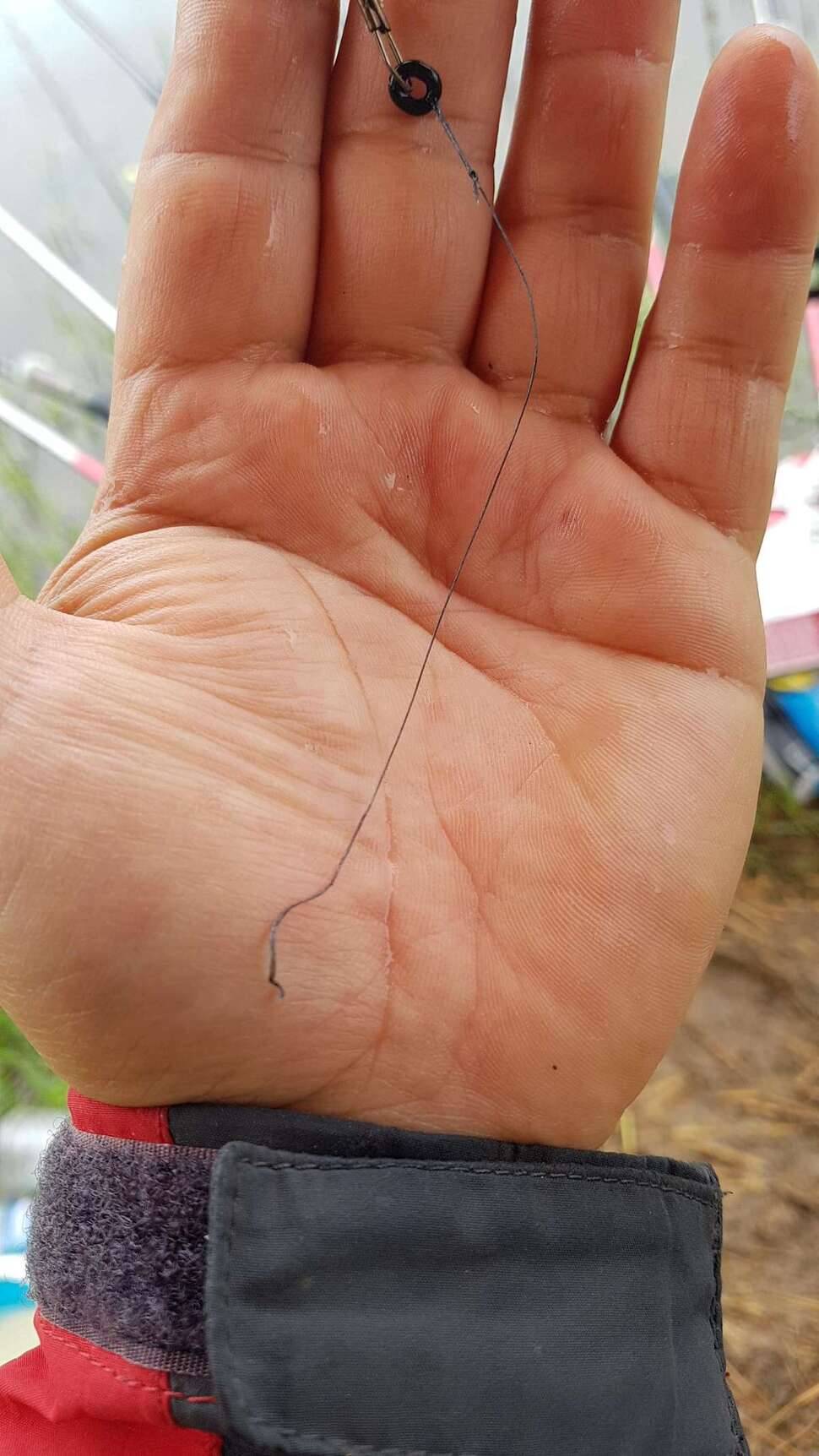주말이면 돌아오는 병 (조황조행기 - 모바일간편조행)