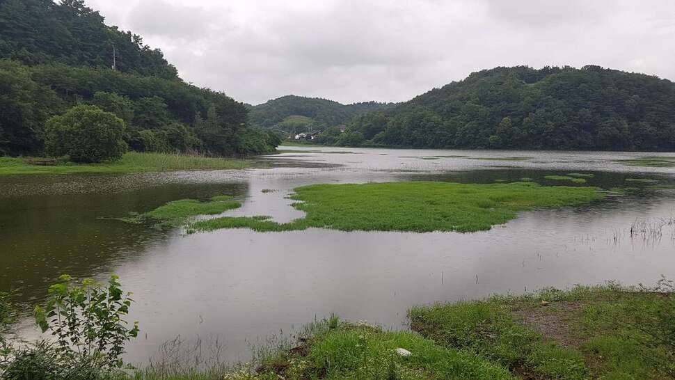 찌만 올리고 왔네요 (조황조행기 - 모바일간편조행)