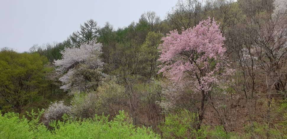 충북권 계곡지 (조황조행기 - 모바일간편조행)