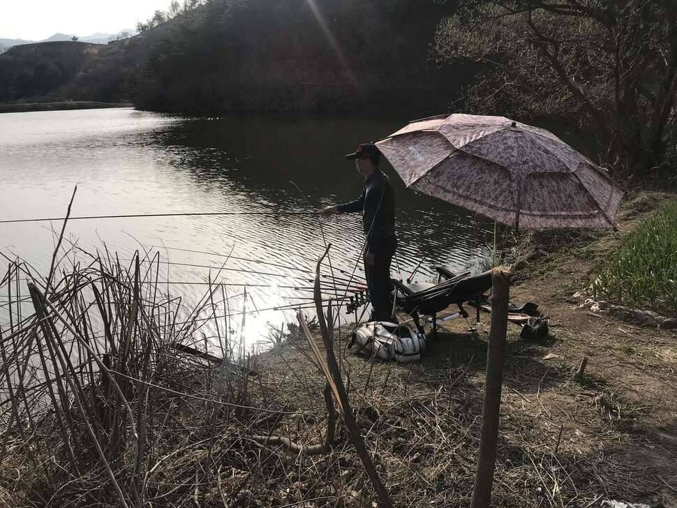 이박붕어없는 조행 (조황조행기 - 모바일간편조행)