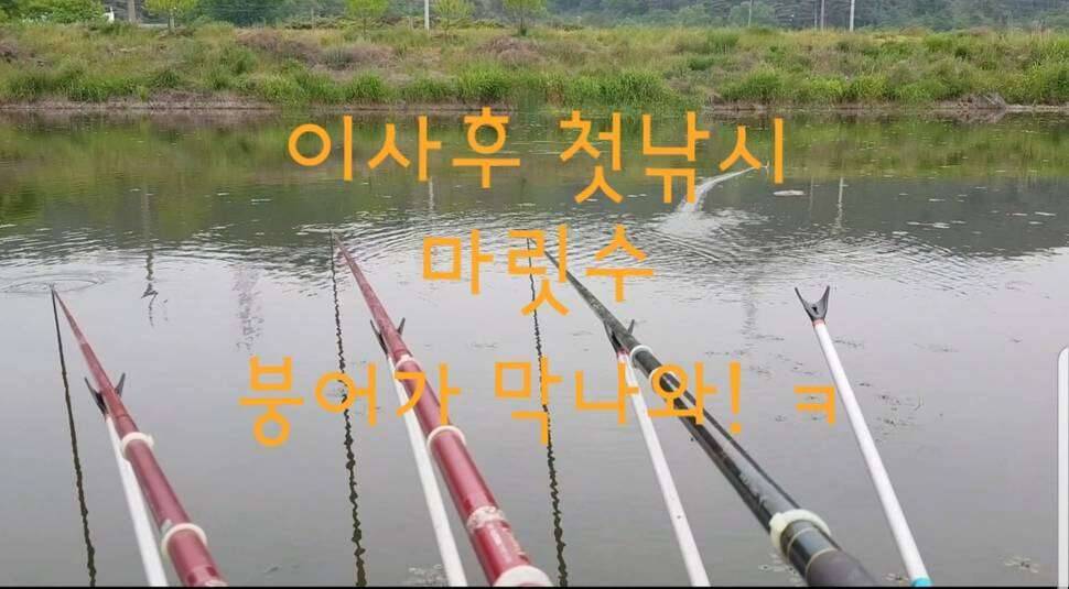 이사 첫낚시 (조황조행기 - 모바일간편조행)