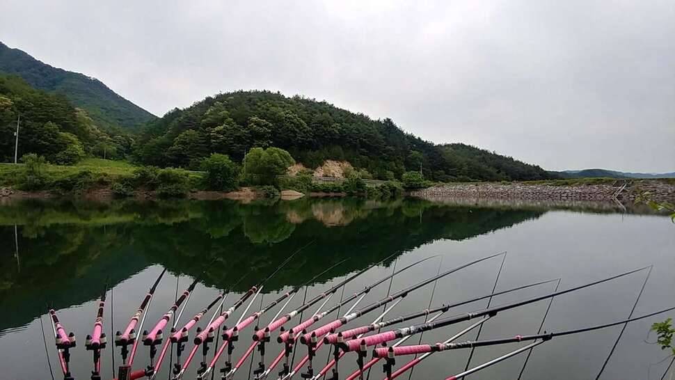강원도래요 (조황조행기 - 모바일간편조행)