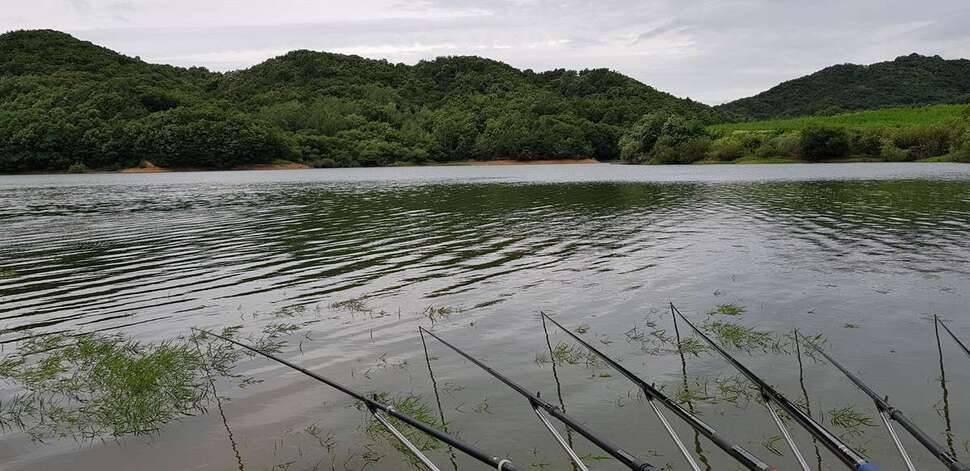 충북권 비오길레 재도전왔습니다 (조황조행기 - 모바일간편조행)