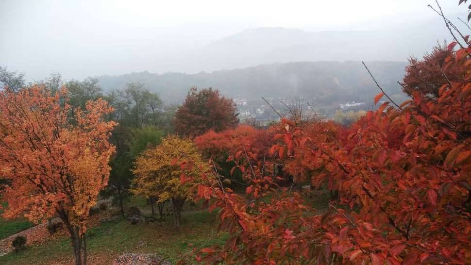 검단수로·검단소류지 (조황조행기 - 모바일간편조행)