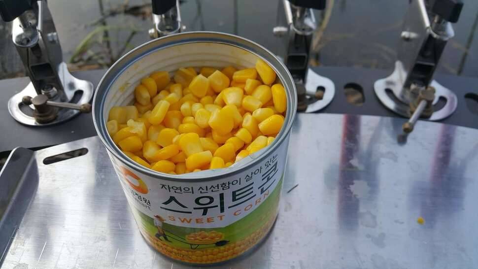 그리운 님 보러 나왔어요 (조황조행기 - 모바일간편조행)