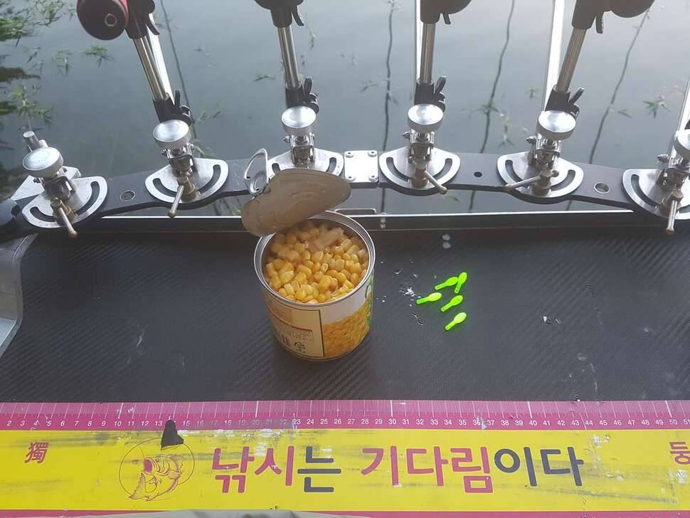 포천3박4일 (조황조행기 - 모바일간편조행)