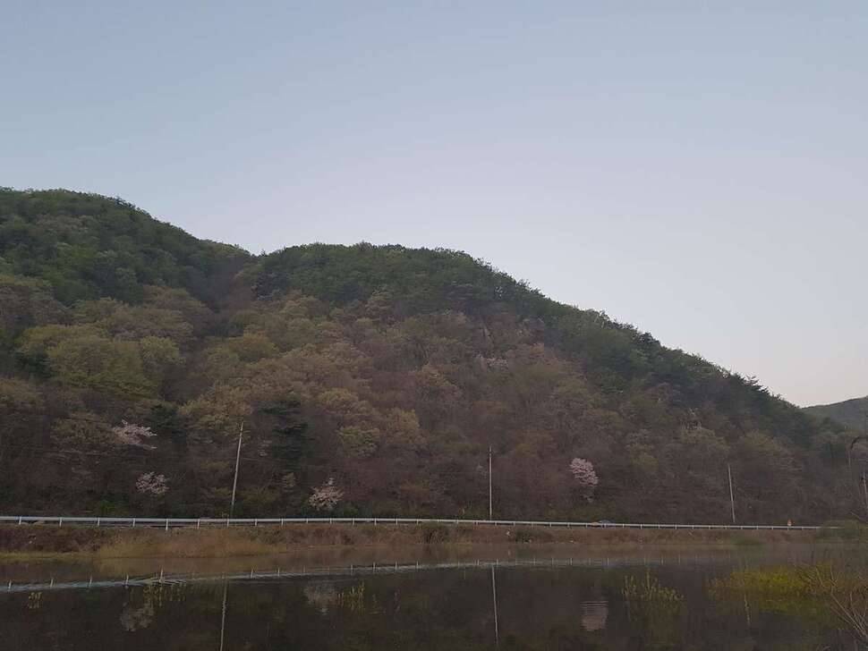 고풍지 (조황조행기 - 모바일간편조행)