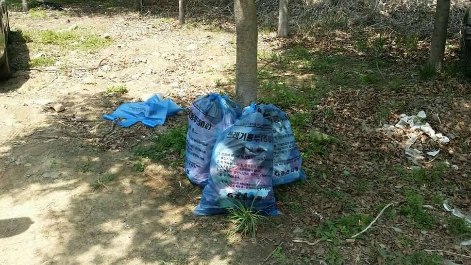 경산 용두지 (조황조행기 - 모바일간편조행)