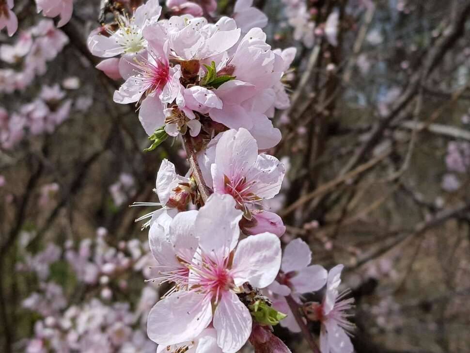 수로 낚시 (조황조행기 - 모바일간편조행)