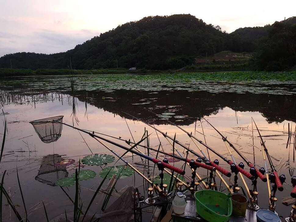 새물찬스 (조황조행기 - 모바일간편조행)