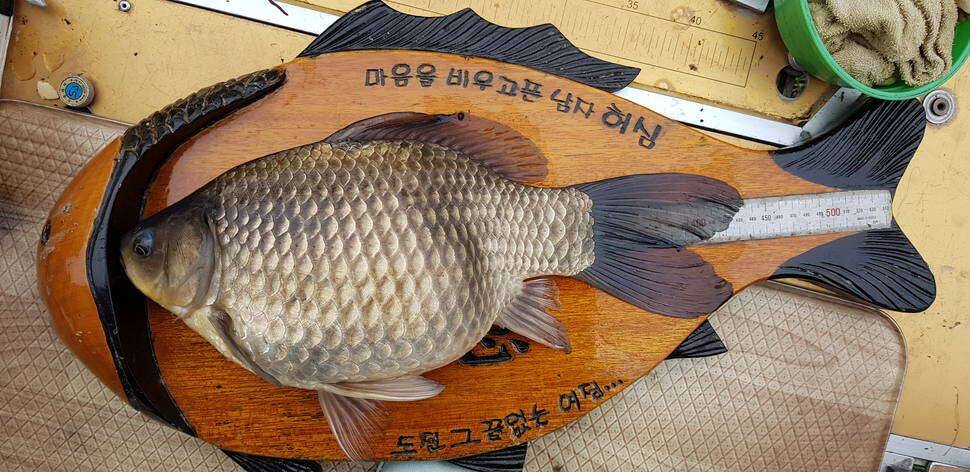 시즌 1호9호 4짜 (조황조행기 - 모바일간편조행)