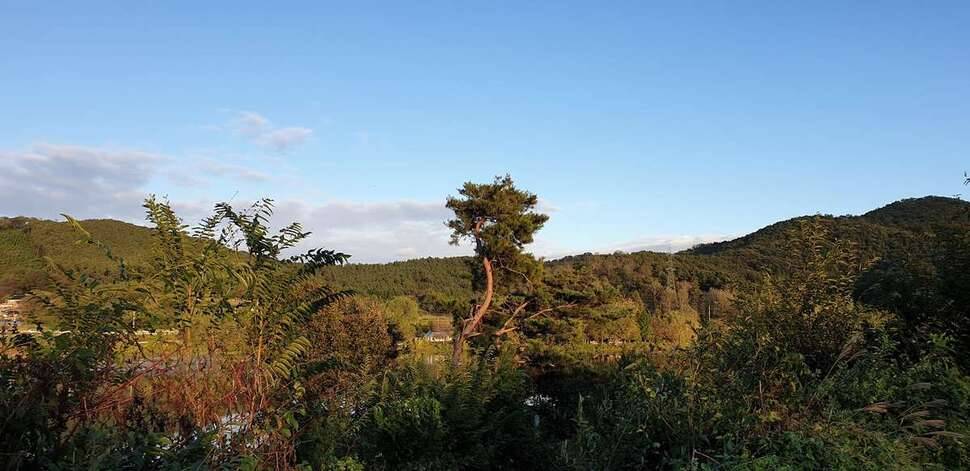 익산권 한방터 (조황조행기 - 모바일간편조행)
