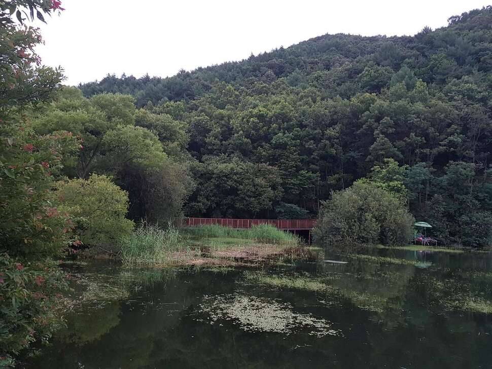음성 용산저수지 고기 터집니다 (조황조행기 - 모바일간편조행)
