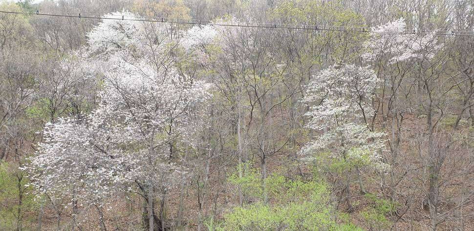 충북권 계곡지 (조황조행기 - 모바일간편조행)