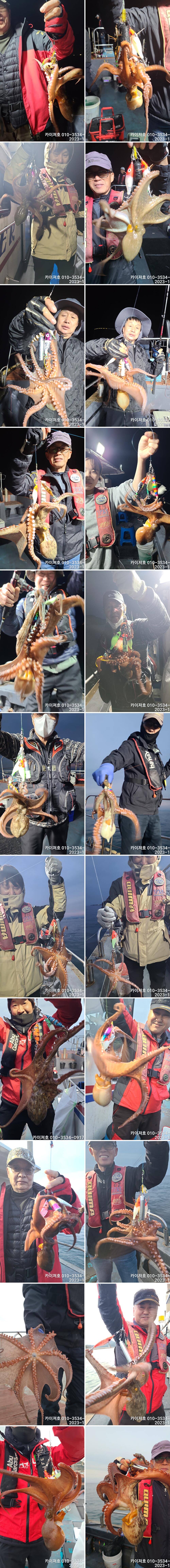 14일 08시 삼치방어 16시 돌문어 정상 출항 모집중 (조황조행기 - 바다선상조황)