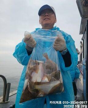 왕도다리참가자미 담으러 수요일 (조황조행기 - 바다선상조황)