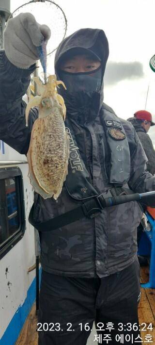 21년신조선22인승제주에이스호16일갑오징어조황입니다 (조황조행기 - 바다선상조황)