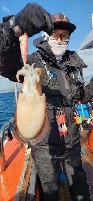 21년신조선22인승제주에이스호4일갑오징어조황입니다 (조황조행기 - 바다선상조황)
